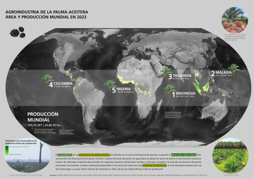 Agroindustria de la palma aceitera. Área y producción mundial en 2023