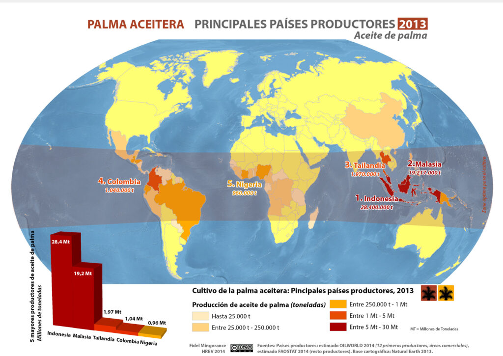 Plantaciones de palma aceitera, 2013
