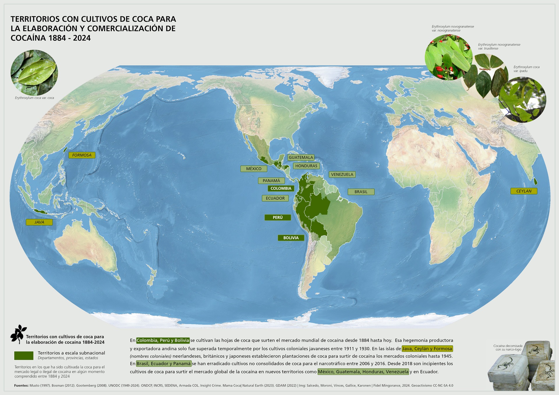 Territorios con cultivos de coca para la elaboración y comercialización de cocaína 1884 - 2024