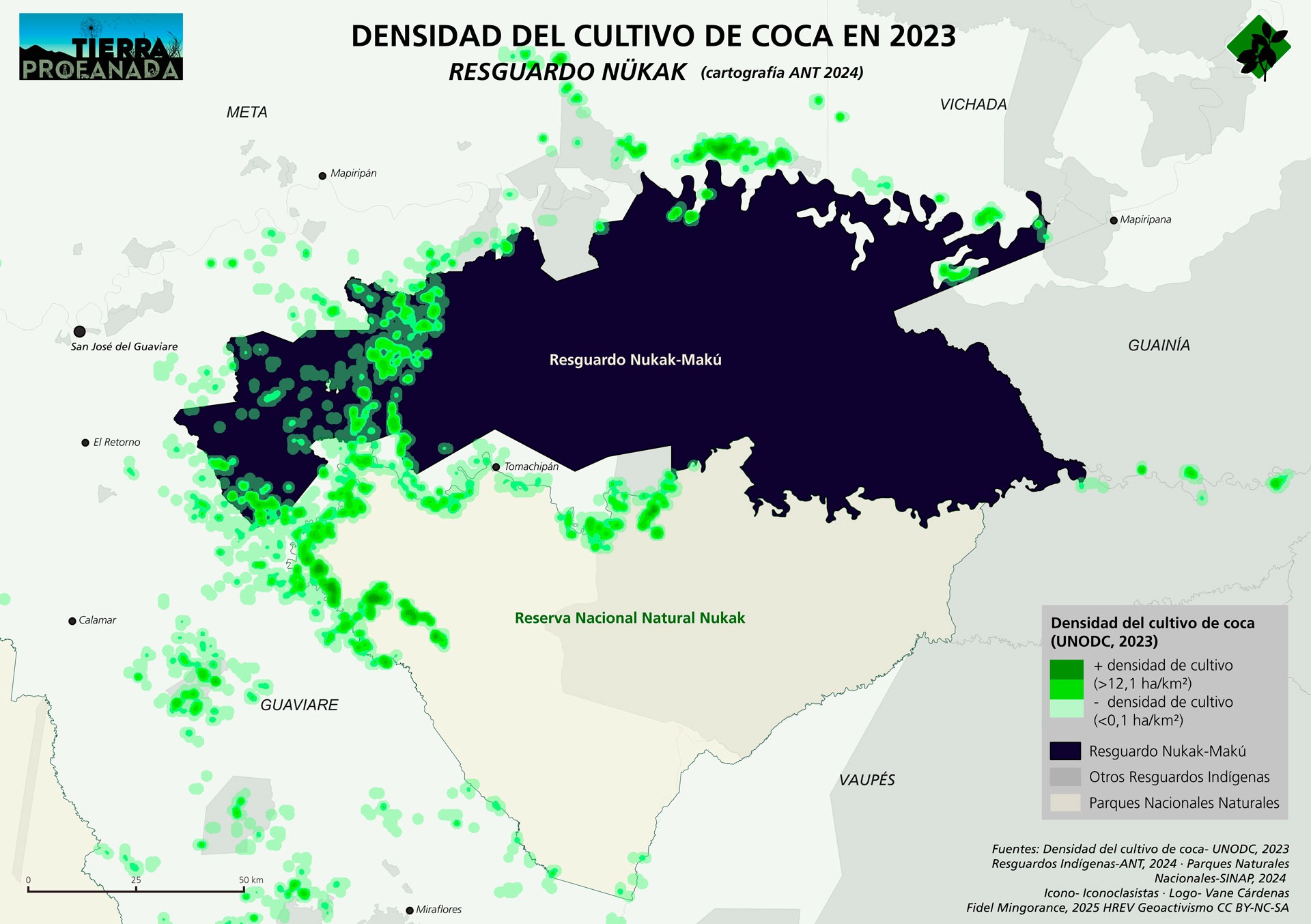 Densidad del cultivo de coca en Territorio Nükak en 2023