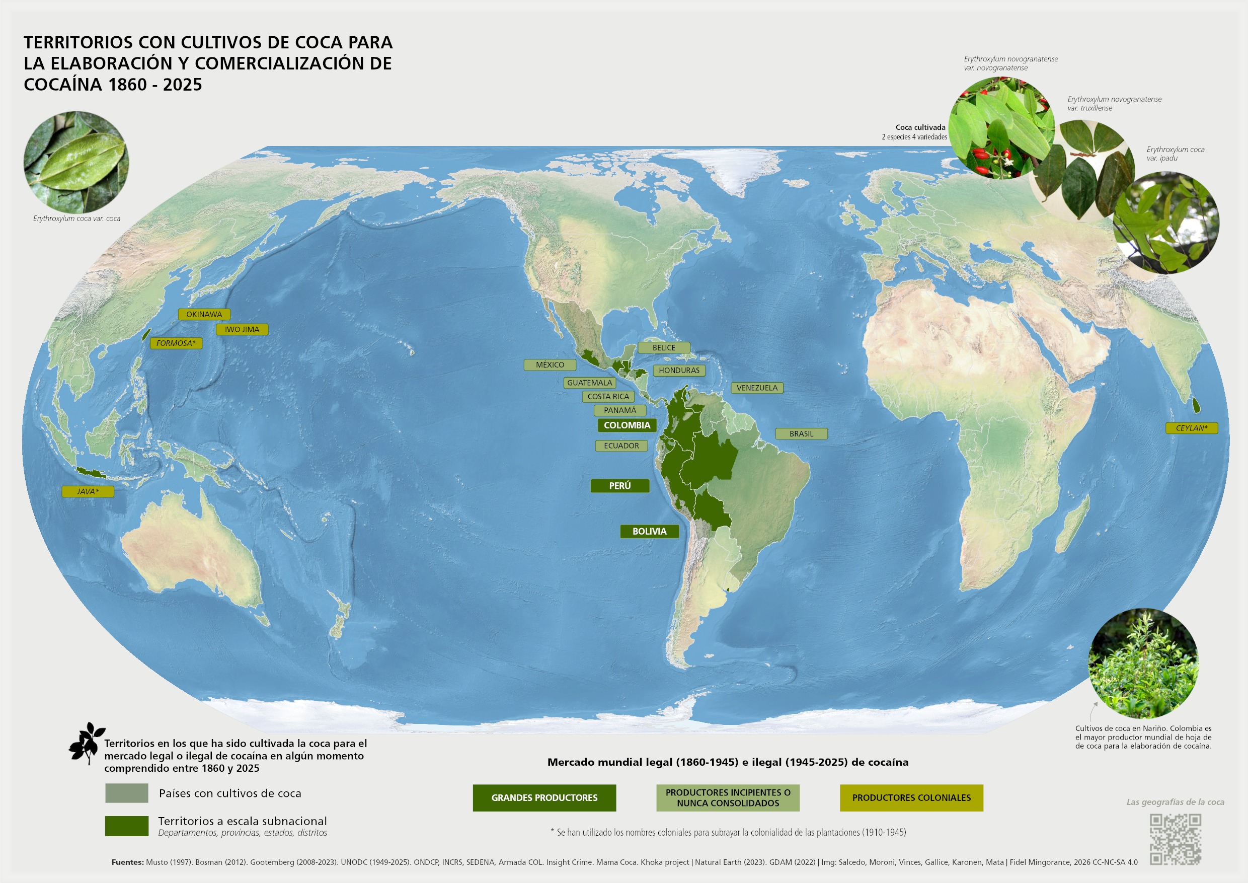 Mapa mundial de cultivos de coca para cocaína (1860-2025)