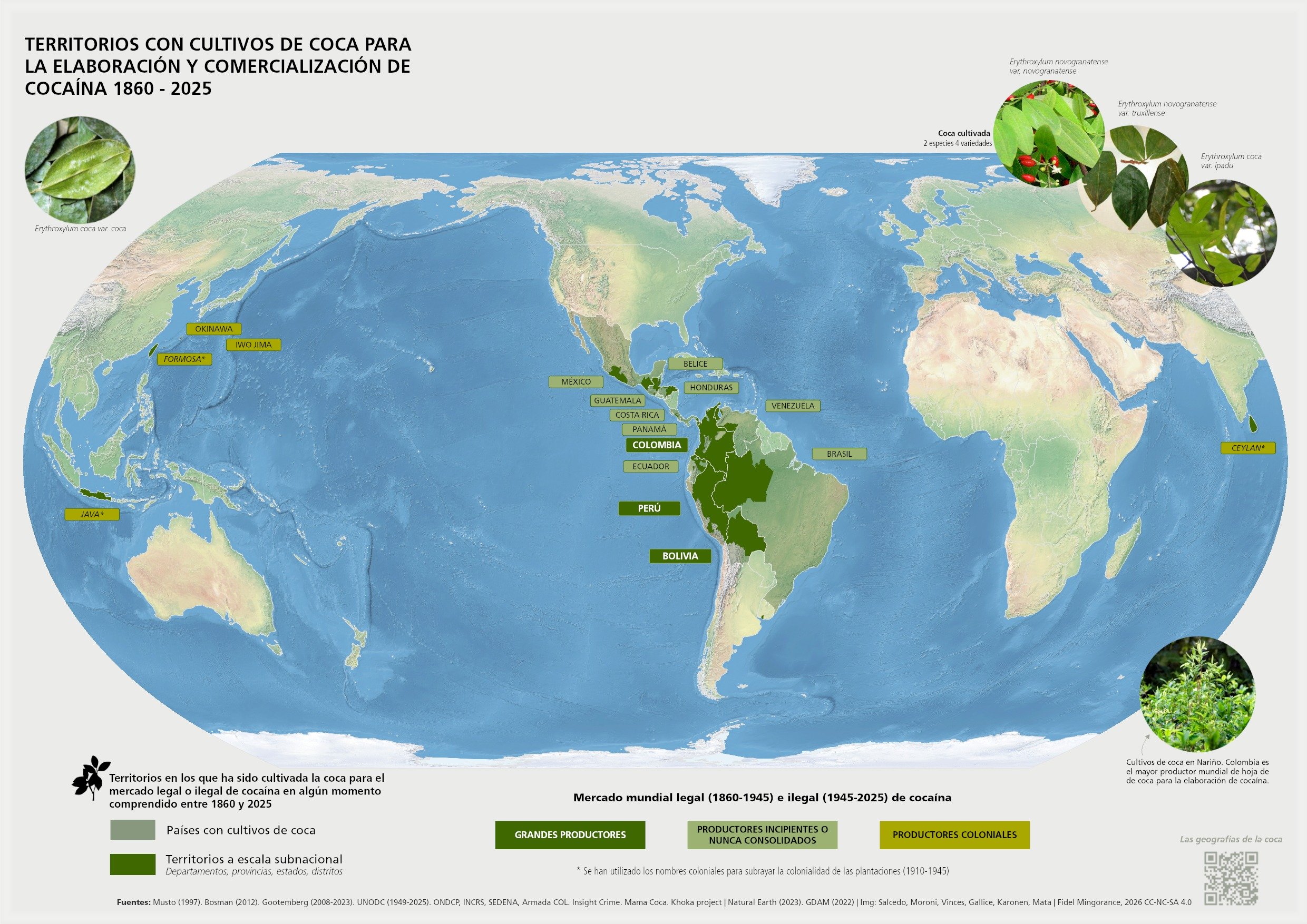 Mapa mundial de cultivos de coca para cocaína (1860-2025)